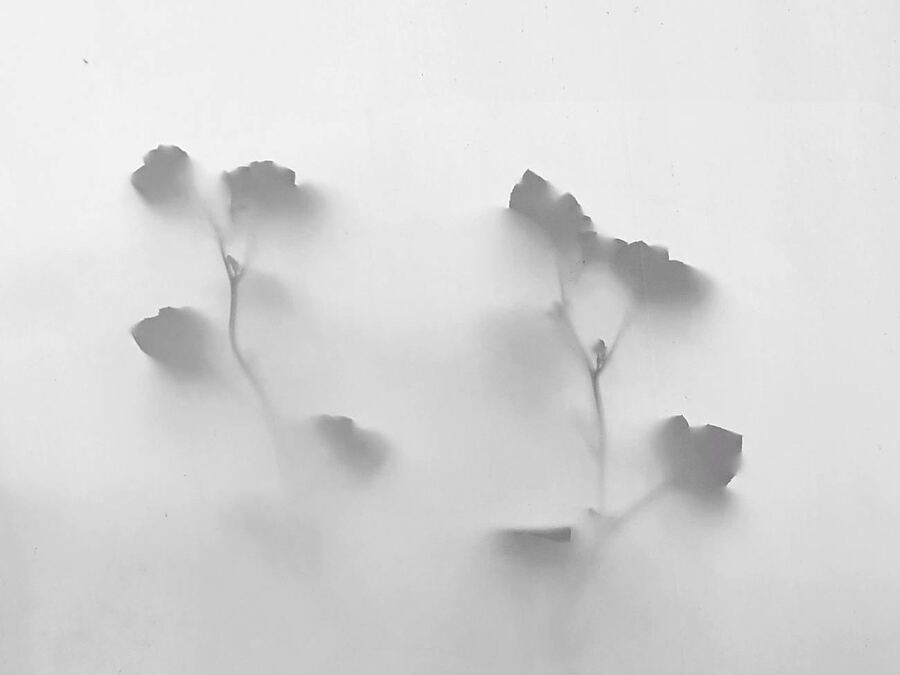 010 · 2020
