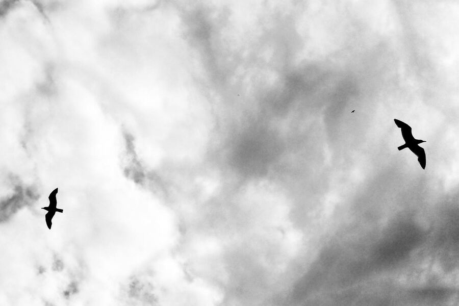 Inventario del cielo, 2024