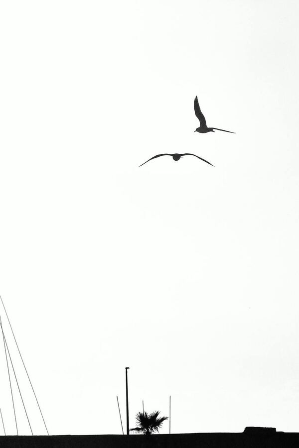 175 · 2025