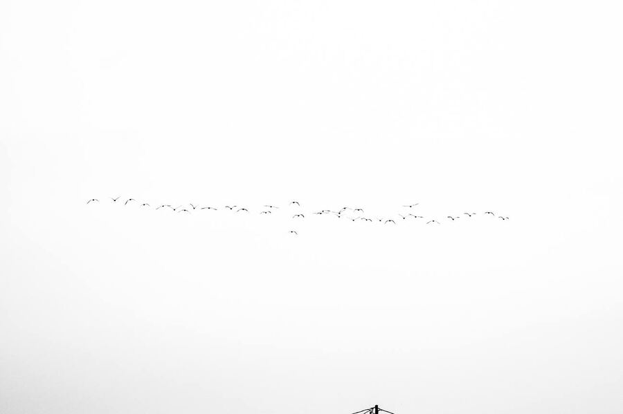 Inventario del cielo, 2011