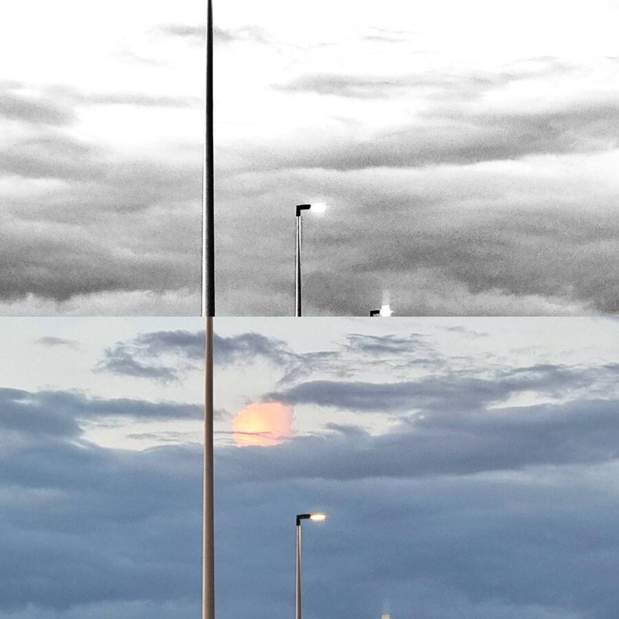 290 · 2023