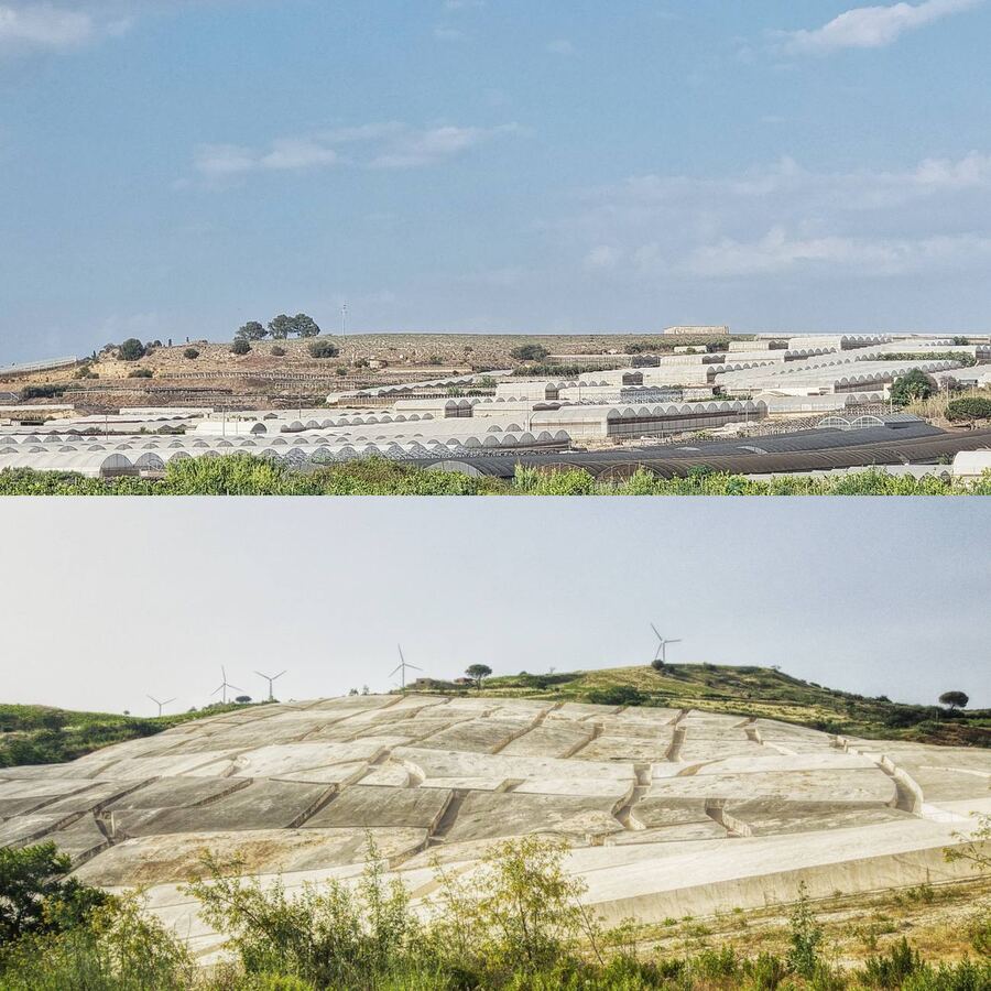 304 · 2024 · Dittici