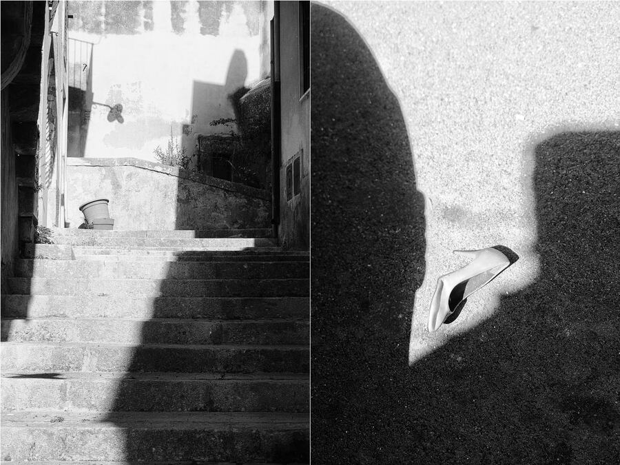 311 · 2024 · Dittici