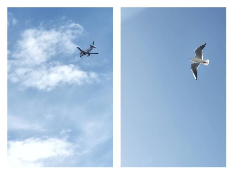 Inventario del cielo, 2024