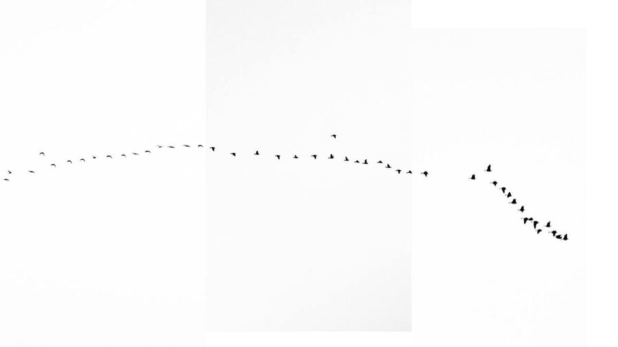 Inventario del cielo, 2025