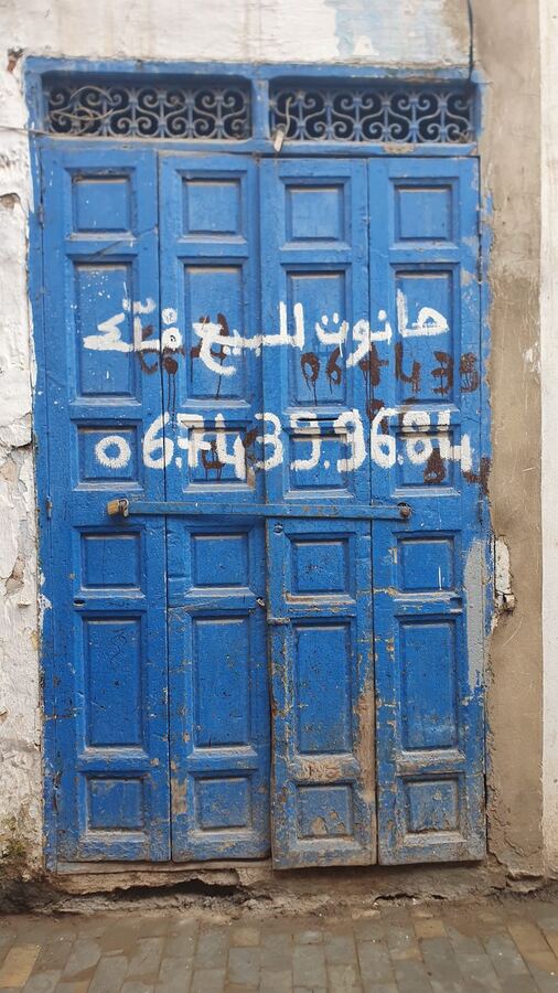 485 · 2023 · Porte