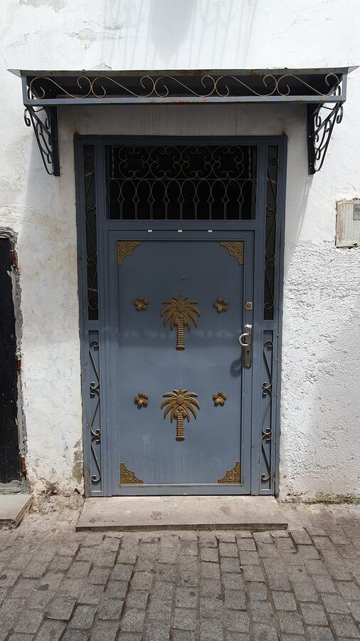 501 · 2023 · Porte