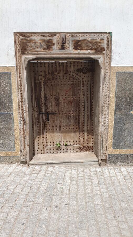 504 · 2023 · Porte