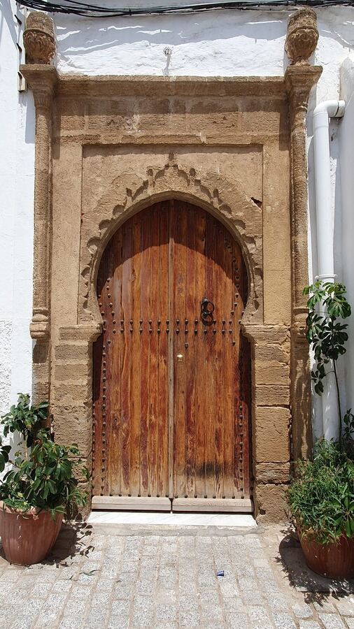 505 · 2023 · Porte