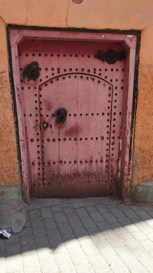 509 · 2023 · Porte