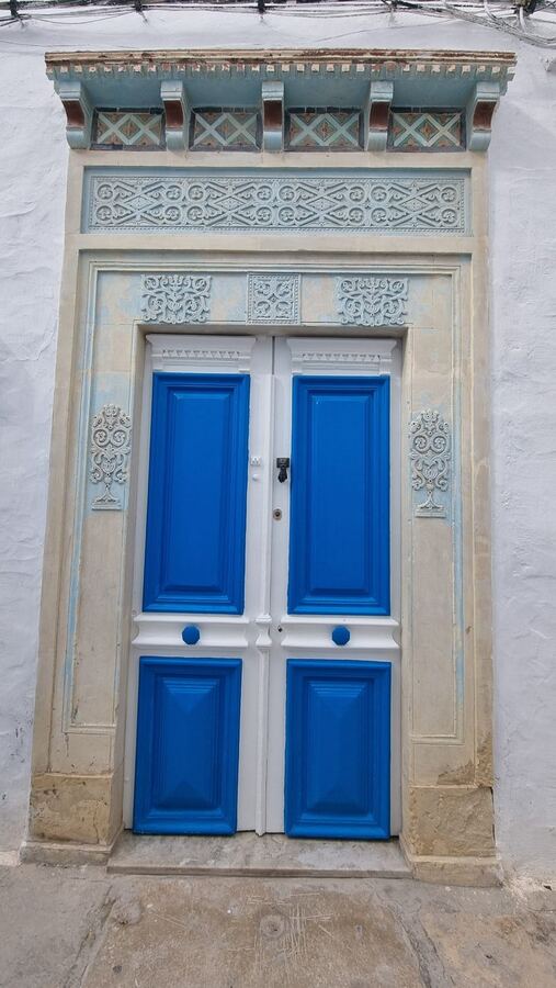 519 · 2024 · Porte