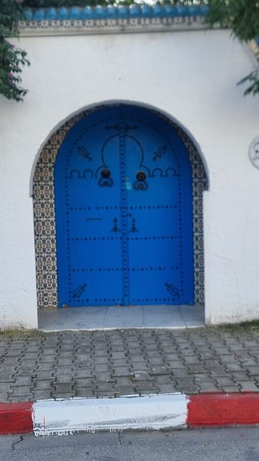 533 · 2024 · Porte