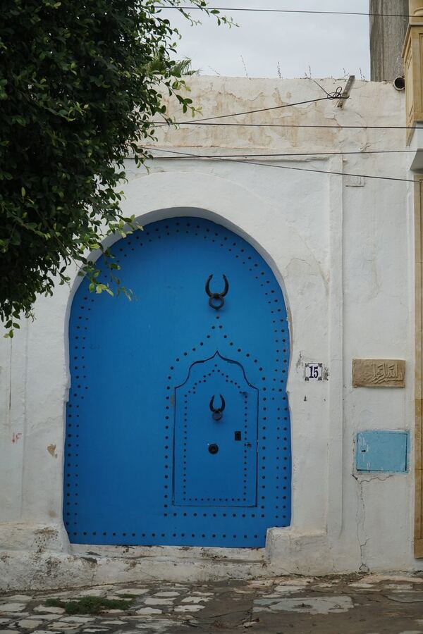 548 · 2024 · Porte