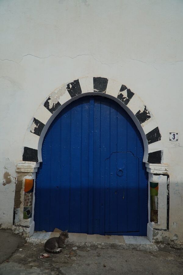 556 · 2024 · Porte