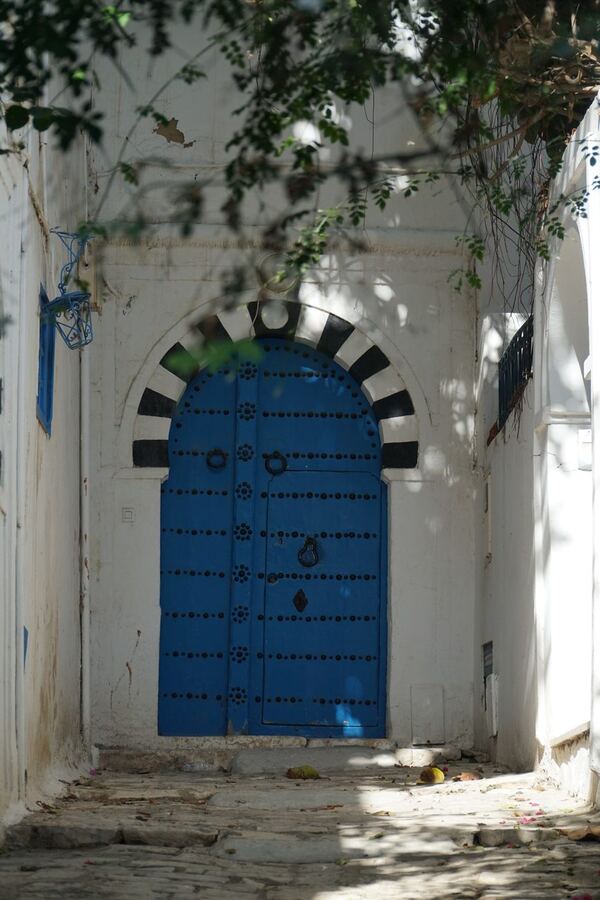 560 · 2024 · Porte