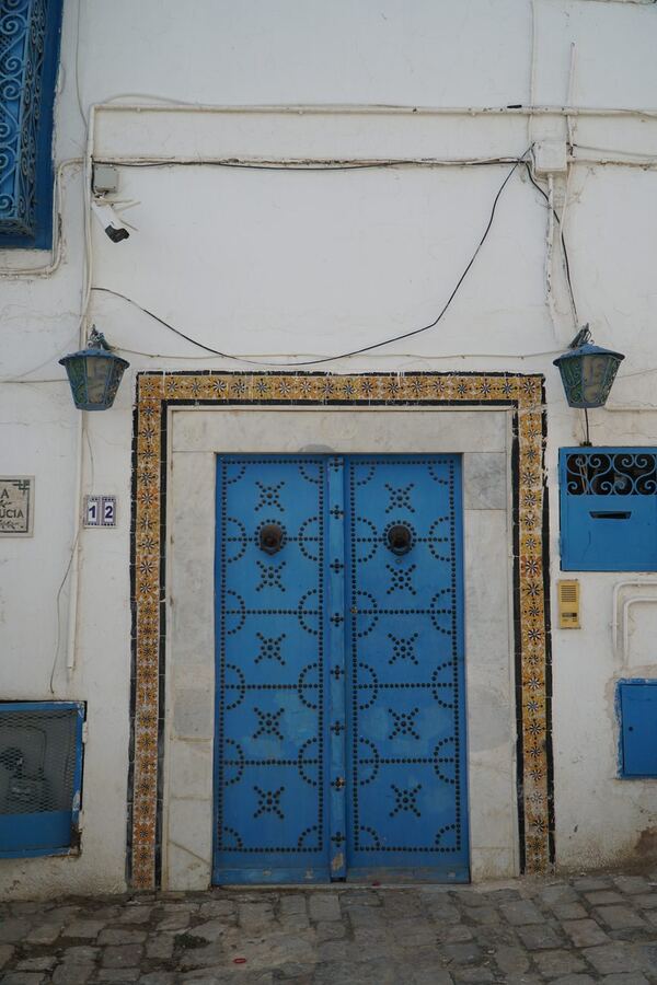 566 · 2024 · Porte